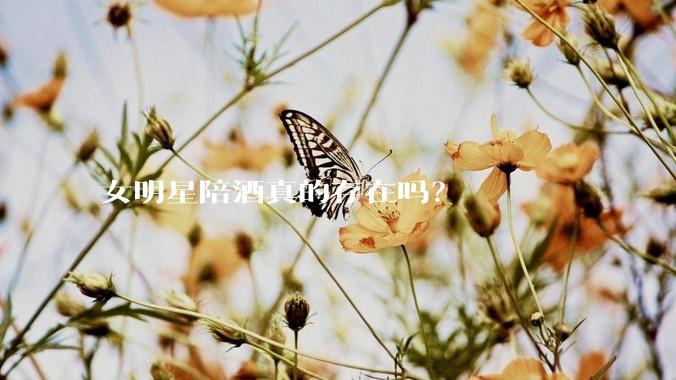 女明星陪酒真的存在吗？
