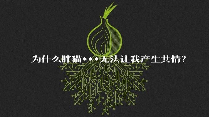 为什么胖猫***无法让我产生共情？